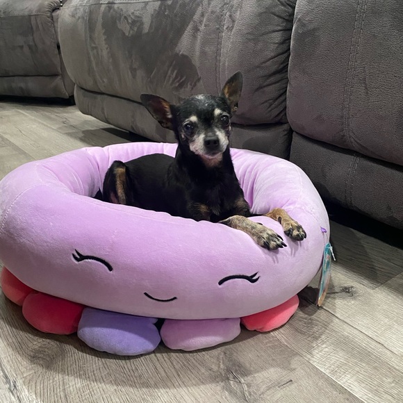 Meet your Posher, Lisa m - Picture 3 of 7